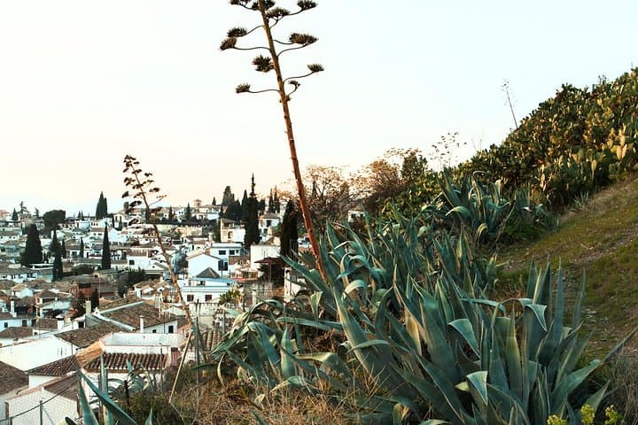 Granada: Albaicin and Sacromonte Private Tour
