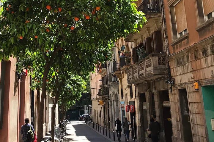 Barcelona Fun Wine Tasting with a Sommelier