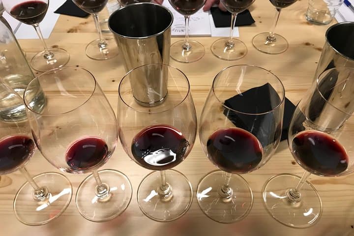 Barcelona Fun Wine Tasting with a Sommelier