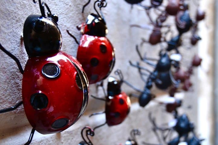 The Secrets of Barcelona's Old Town city game