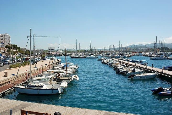 Ibiza Island Tour: Punta Arabi Local Market