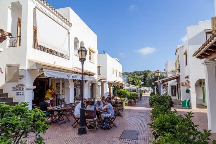 Ibiza Island Tour: Punta Arabi Local Market