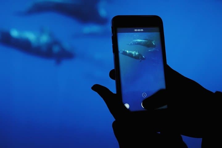 Underwater Experience