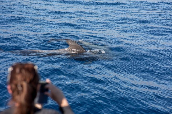 Close encounter