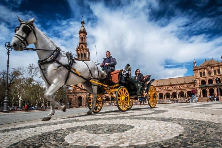 Private IN/OUT transfer from/to Seville city from/to Seville airport
