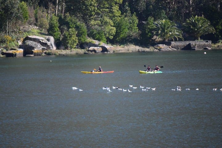From the hand of the professional guides you will discover every corner its flora and fauna.