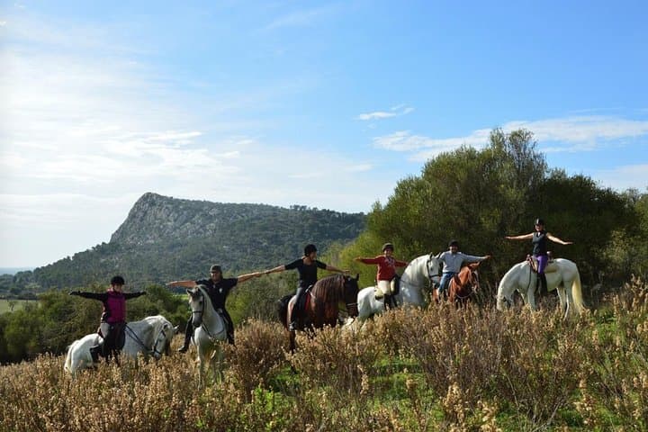 Horseback Riding in Randa, Mallorca, Spain
