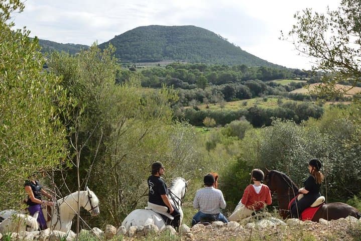 Horseback Riding in Randa, Mallorca, Spain