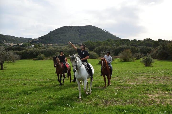 Horseback Riding in Randa, Mallorca, Spain