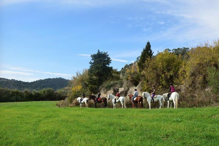 Horseback Riding in Randa, Mallorca, Spain