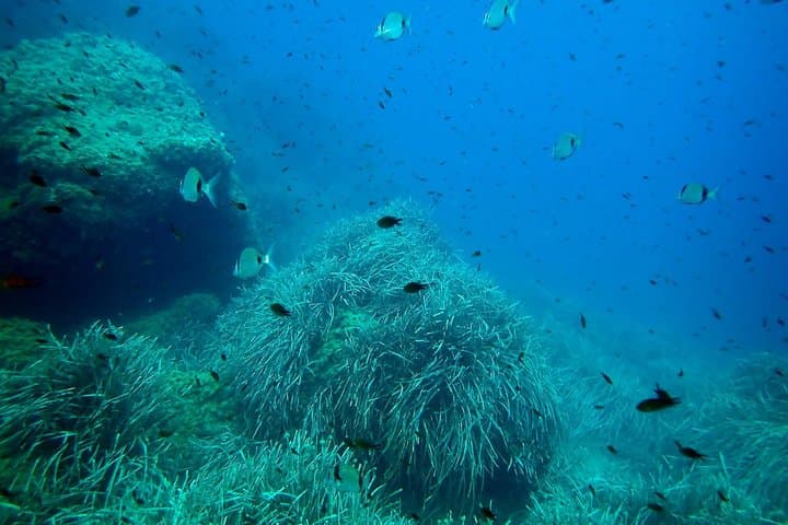 Baptism of diving from boat