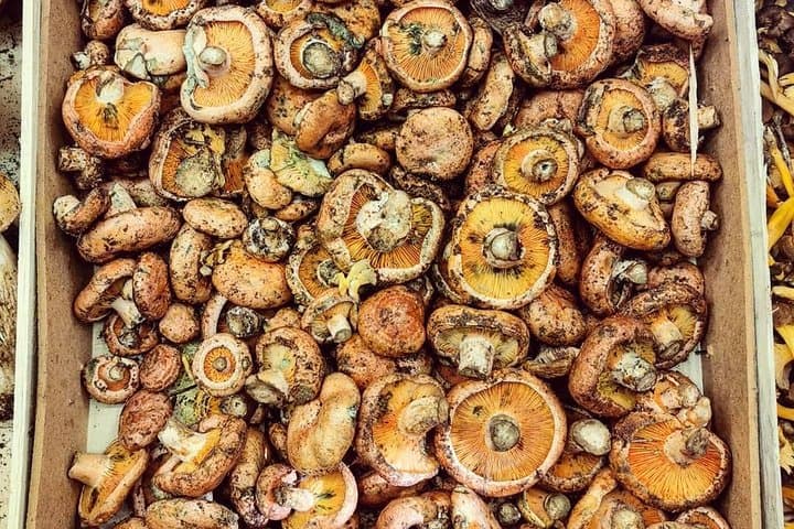 Sant Antoni Market tour with Catalan traditional breakfast