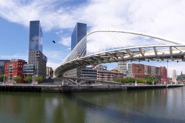 Bilbao and Guggenheim Museum Private tour
