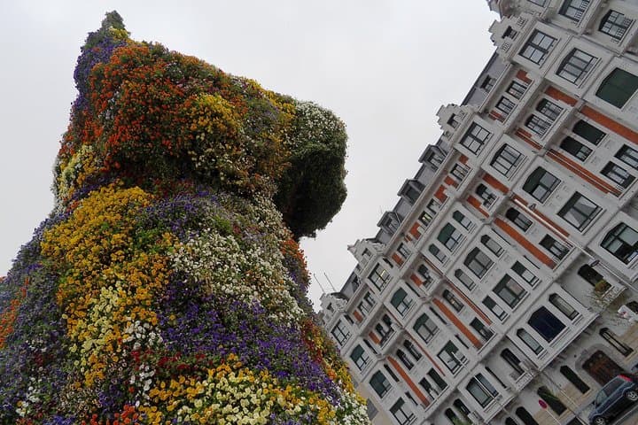 Bilbao and Guggenheim Museum Private tour