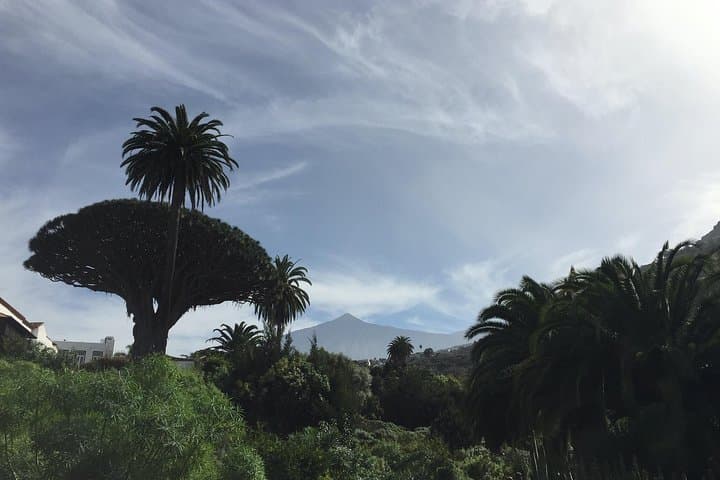 Grand Tour Tenerife - Full-Day Private VIP Tour
