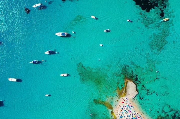 Cala Salada and Unspoiled North Beach Tour. Snorkelling and Aquarium