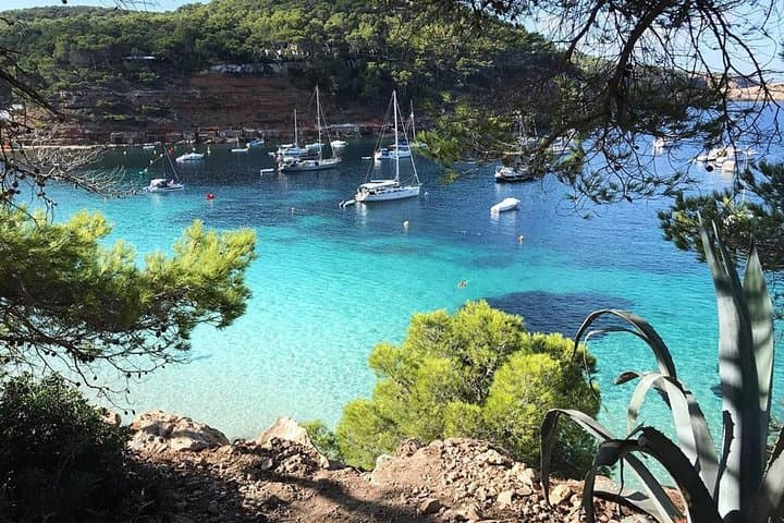 Cala Salada and Unspoiled North Beach Tour. Snorkelling and Aquarium