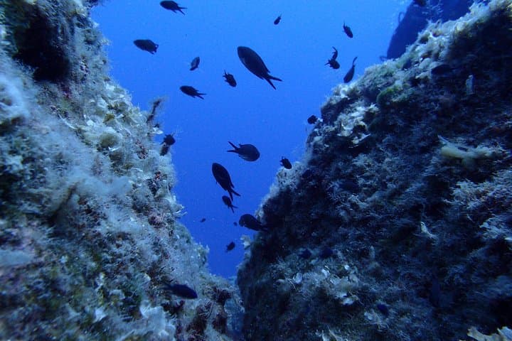 Underwater world