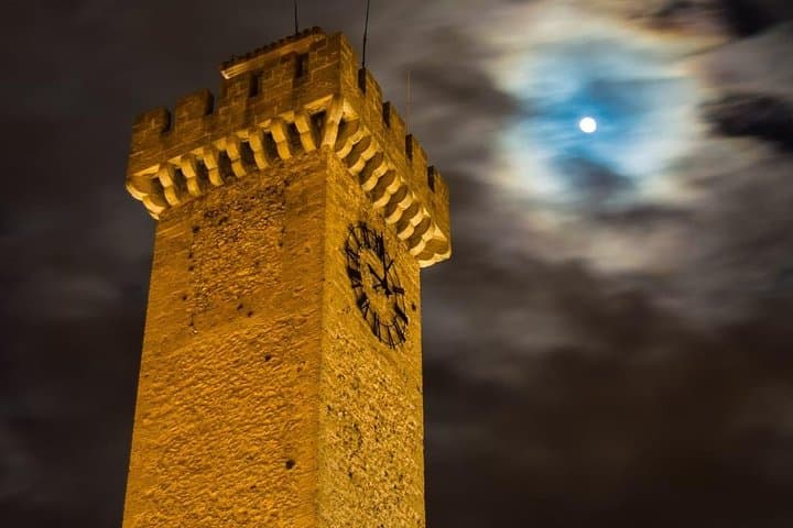 guided night tour