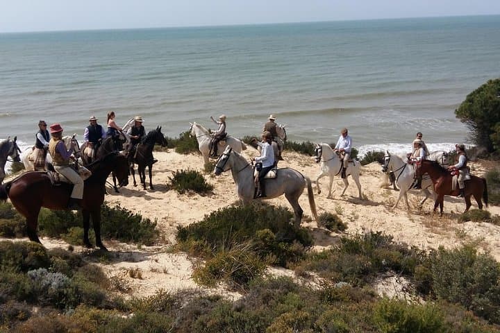 Horseback riding tour of Doñana and visit of El Rocio