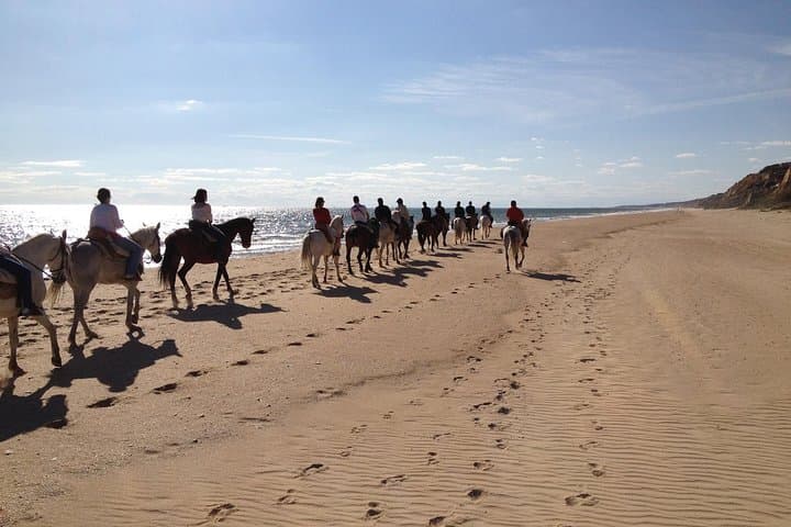 Horseback riding tour of Doñana and visit of El Rocio