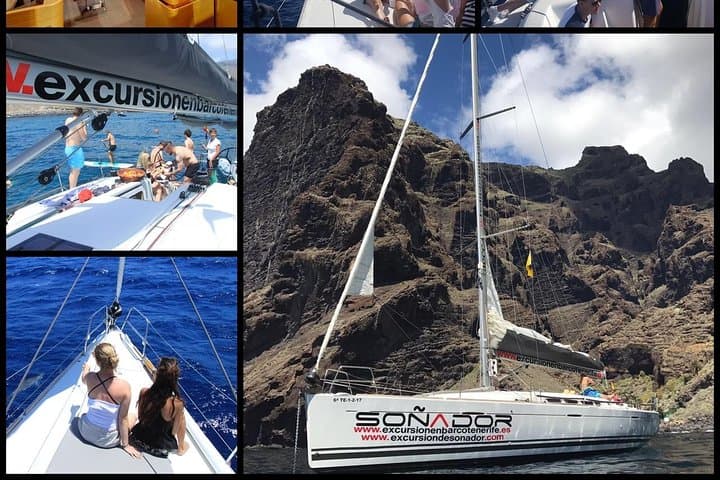 3 Hours All Inclusive Whale and Dolphin Whatching Yacht Trip