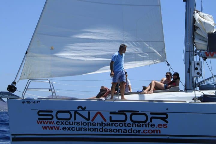 3 Hours All Inclusive Whale and Dolphin Whatching Yacht Trip