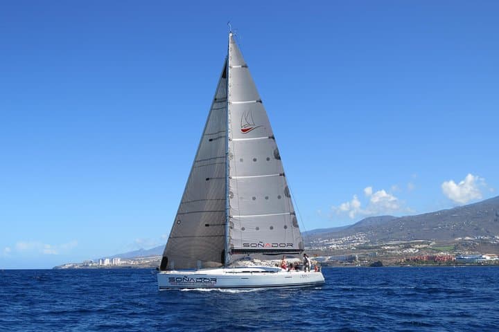 3 Hours All Inclusive Whale and Dolphin Whatching Yacht Trip