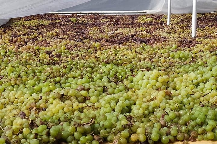 Discover boutique wineries and white washed villages with Andalucian lunch