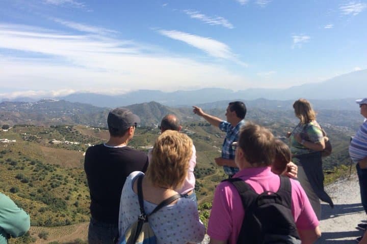 Discover boutique wineries and white washed villages with Andalucian lunch