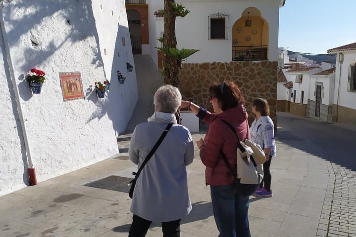 Discover boutique wineries and white washed villages with Andalucian lunch