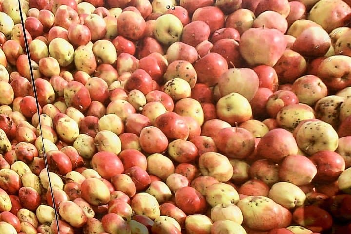Cider house experience from San Sebastian