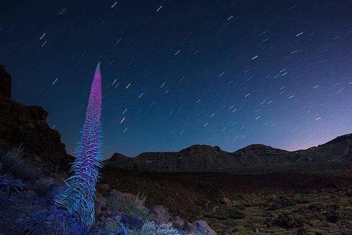 Teide under the stars