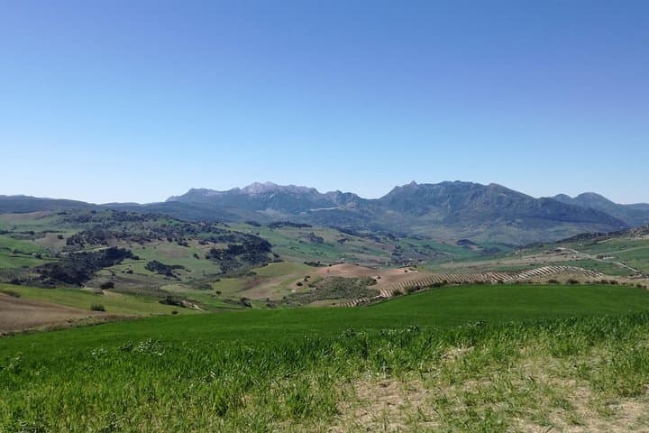 White Villages and Ronda Day Trip from Seville