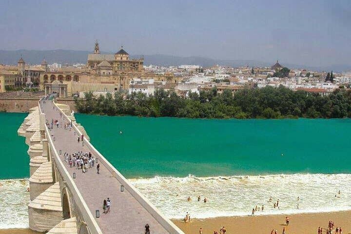 Cordoba city private tour from Seville including the great Mosque