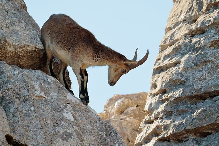 Torcal de Antequera hiking tour from Malaga by MALAGA ACTIVA TOURS.