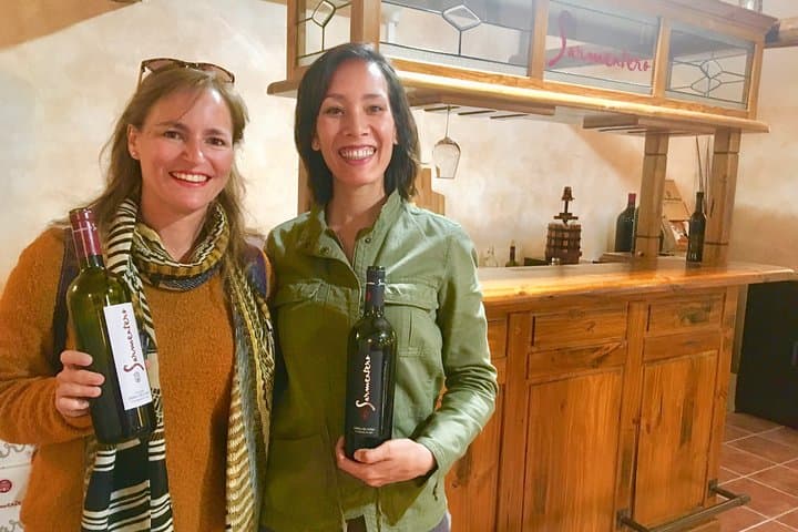Exclusive tour: Ribera del Duero "like a native", with lamb in a wood oven