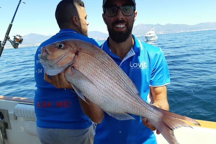 Big snapper fishing. This capture was in Marbella from a boat. Live fishing to catch large pieces.