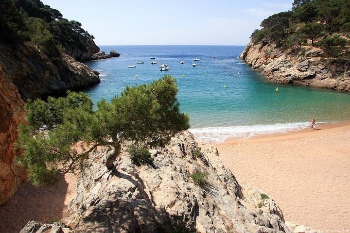 Private Tour to Costa Brava (Tossa de Mar / Calella Palafrugell)