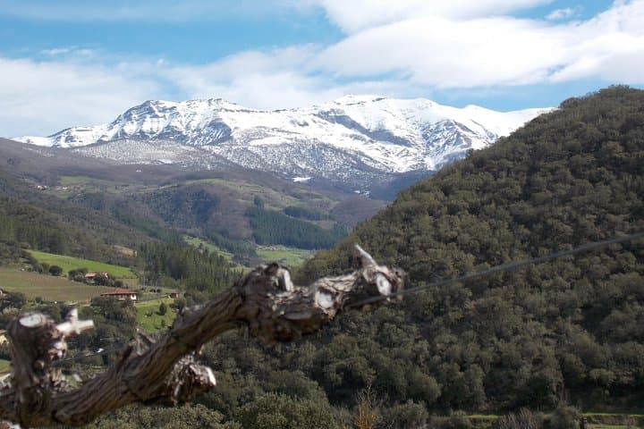 Cantabria: Wine tour and tasting with a lot of Flavour