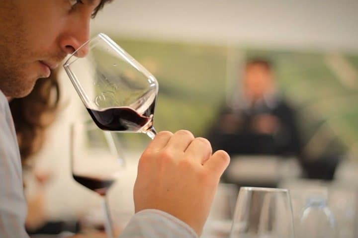 Cantabria: Wine tour and tasting with a lot of Flavour