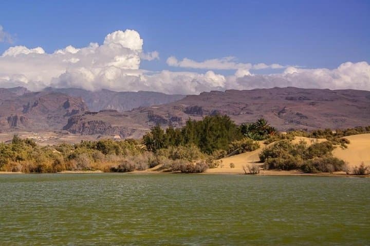 Maspalomas Oasis /Charca