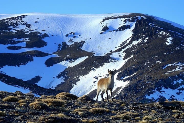 Sierra Nevada Guided Small-Group Adventure Day Trip from Granada
