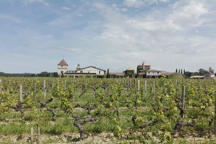 Bordeaux Uncorked: Private Premium Wine Tour from San Sebastian