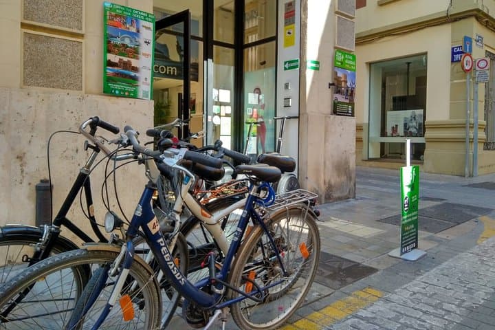 1-Hour Segway Tour in Valencia + Full-Day Bike Rental