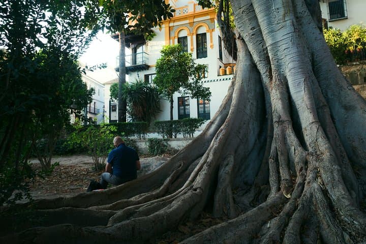 Gardens of Seville