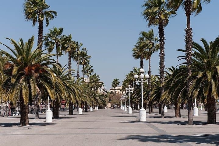 Barcelona Half-Day Sightseeing Private Tour