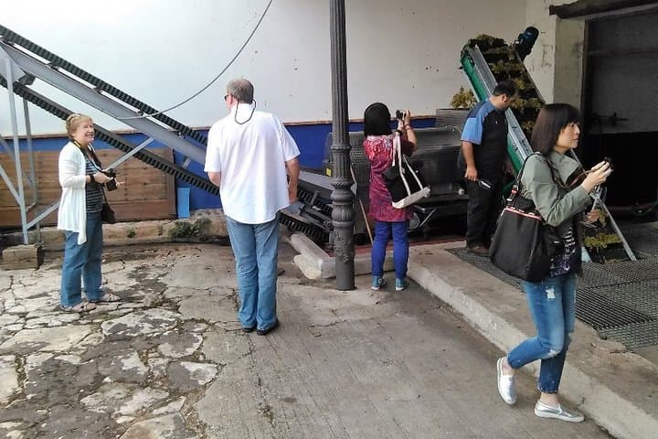 https://media-cdn.tripadvisor.com/media/attractions-splice-spp-720x480/06/df/2b/87.jpg