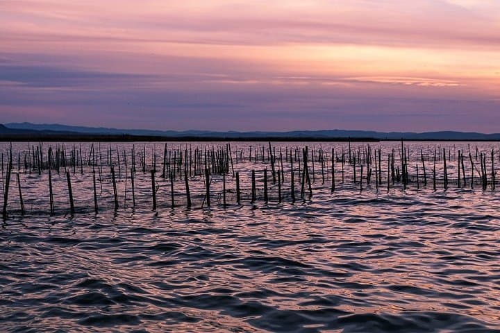 Albufera Nature & Boat Tour from Valencia (Small Group)