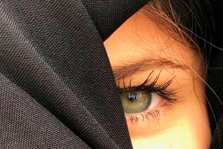 Vejeriega Cobijada Detail